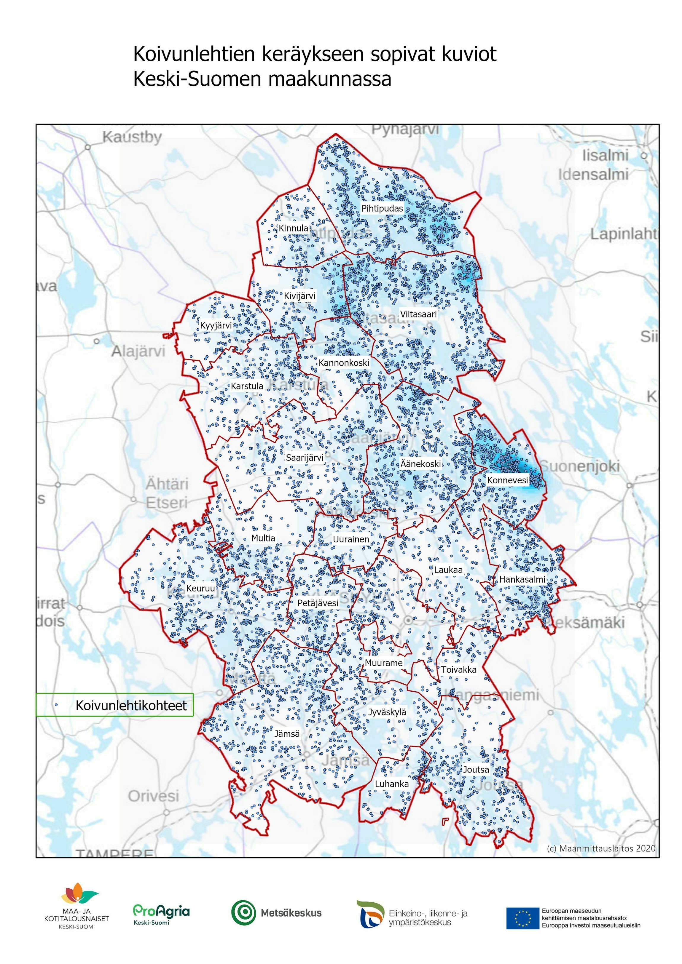 Koivunlehtien keräysalueet