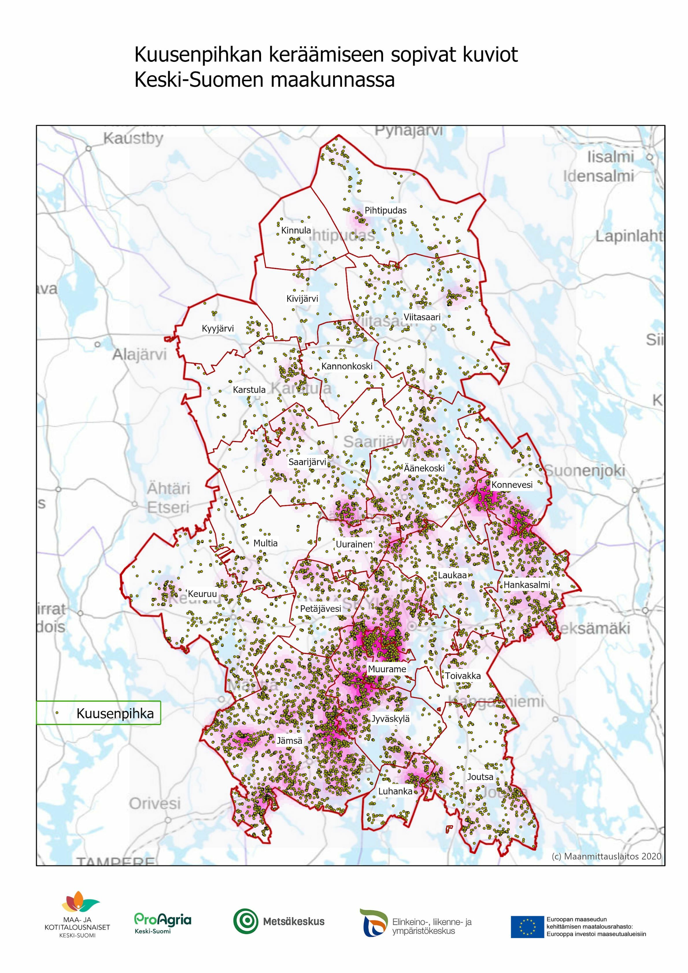 Kuusenpihkan keräysalueet