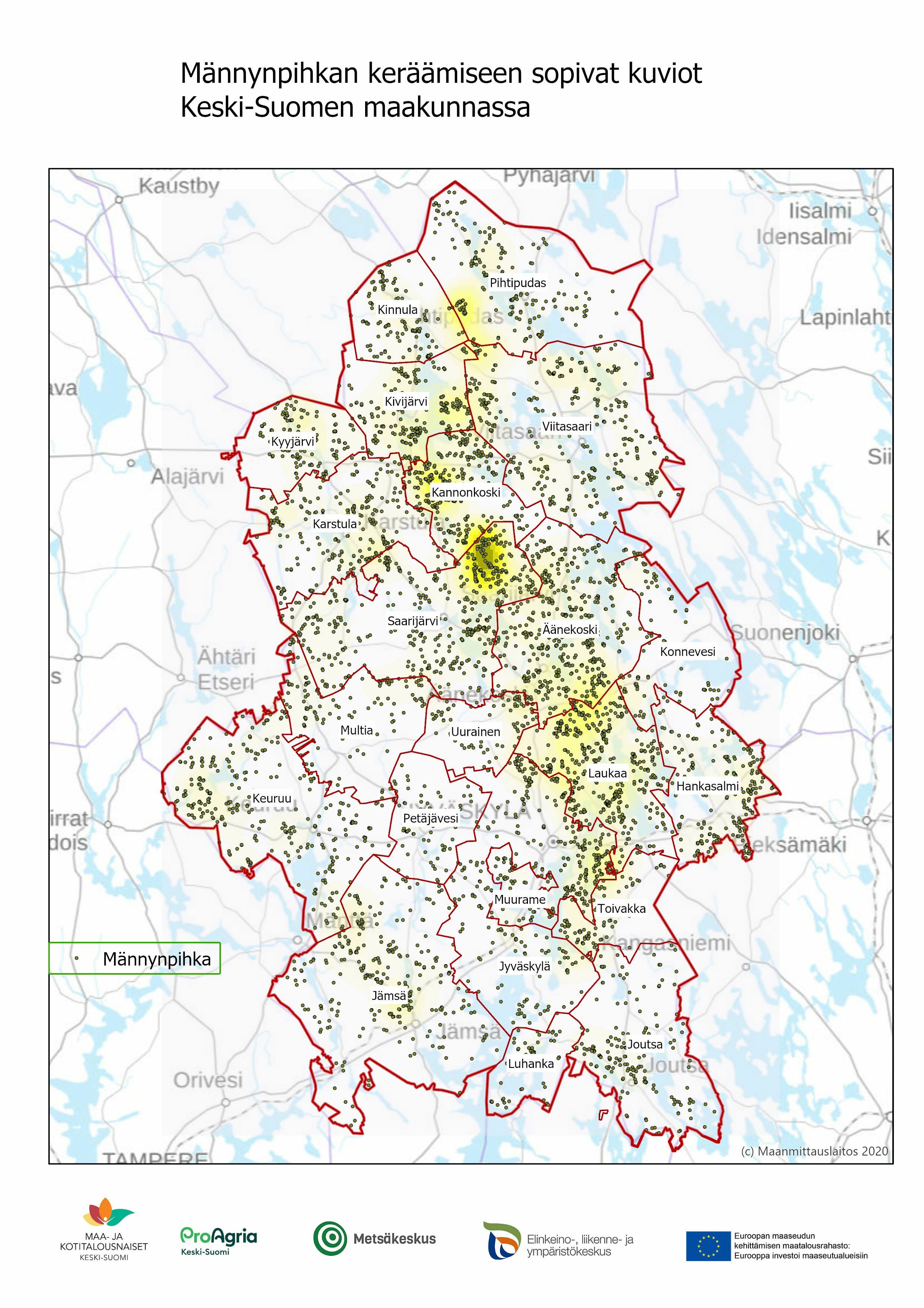 Männynpihkan keräysalueet