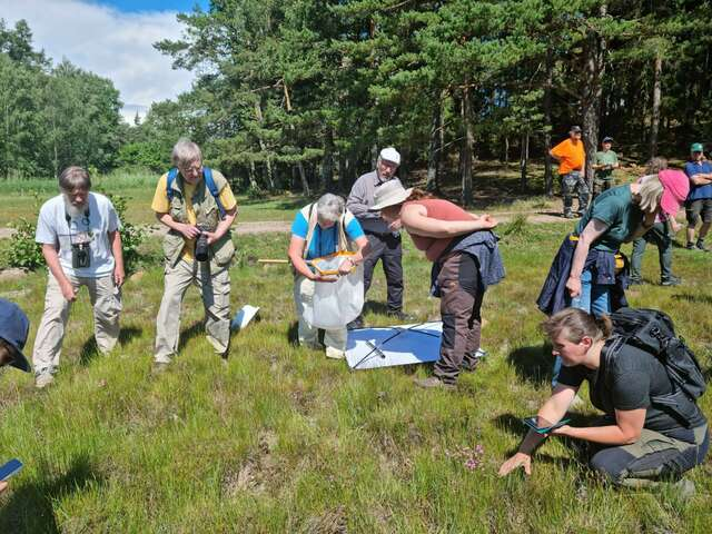 Ryhmä ihmisiä metsän laidalla tunnistamassa eri lajeja kuva Katriina Koski