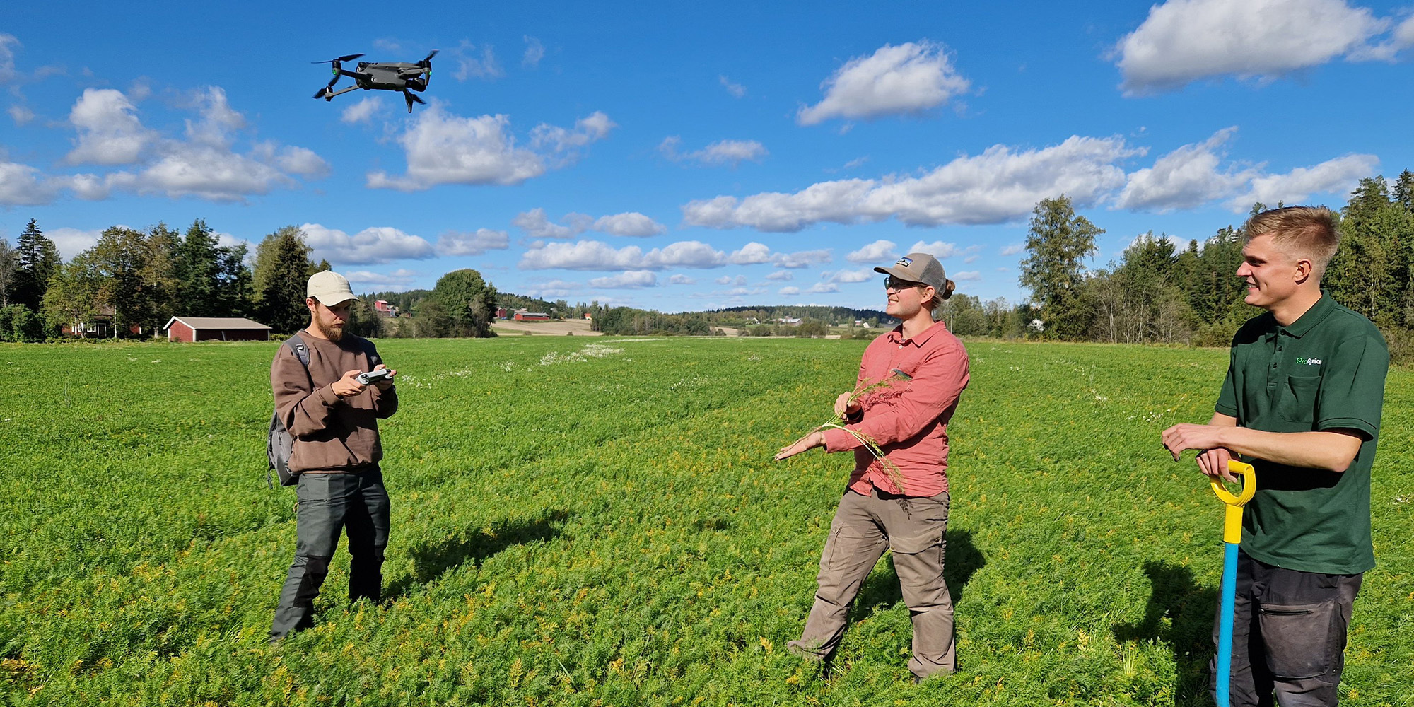 Kolme miestä kesäisellä pellolla lennättämässä dronea.