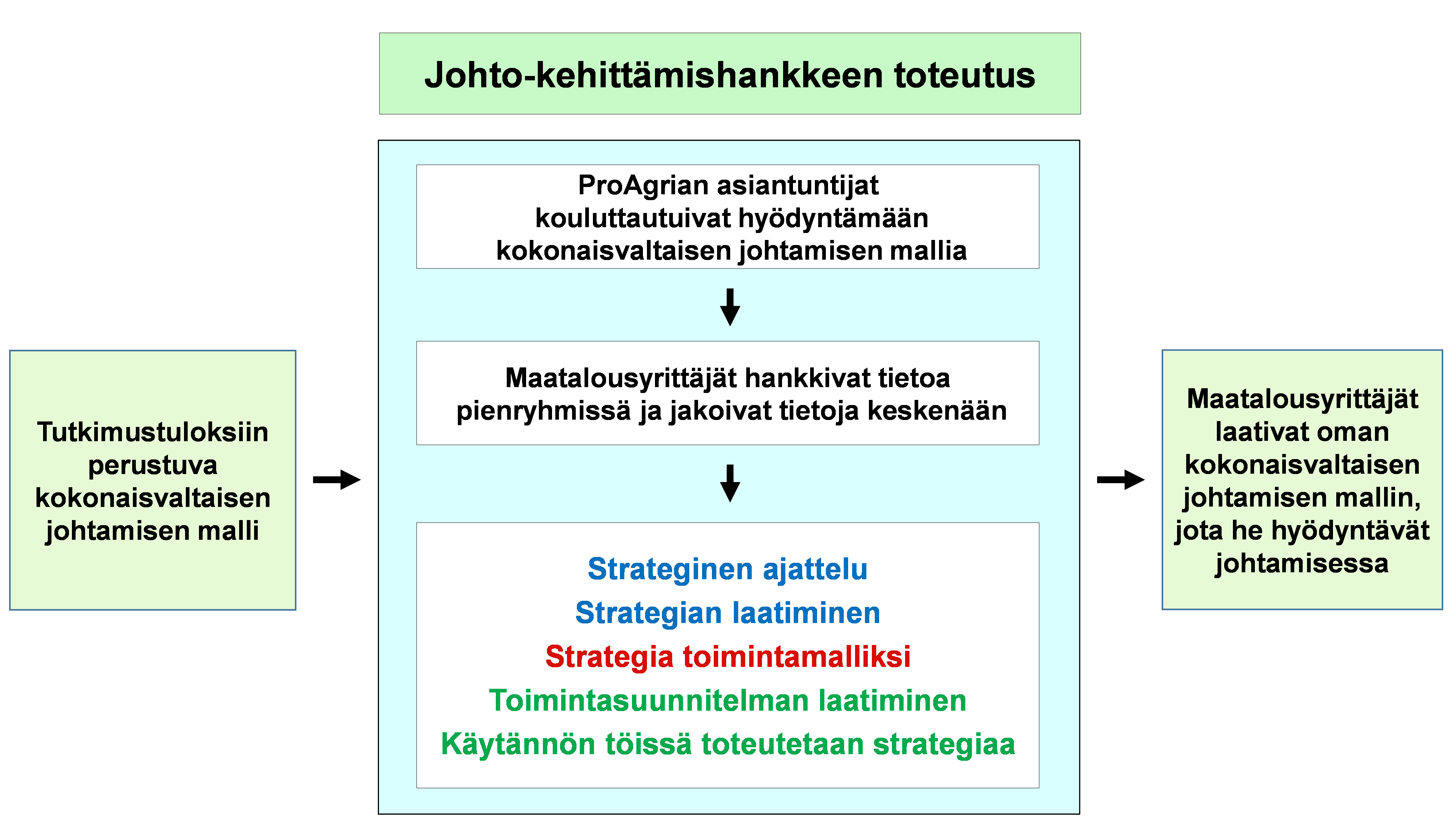 Kuva 1 Johto-kehittämishankkeen toteutus