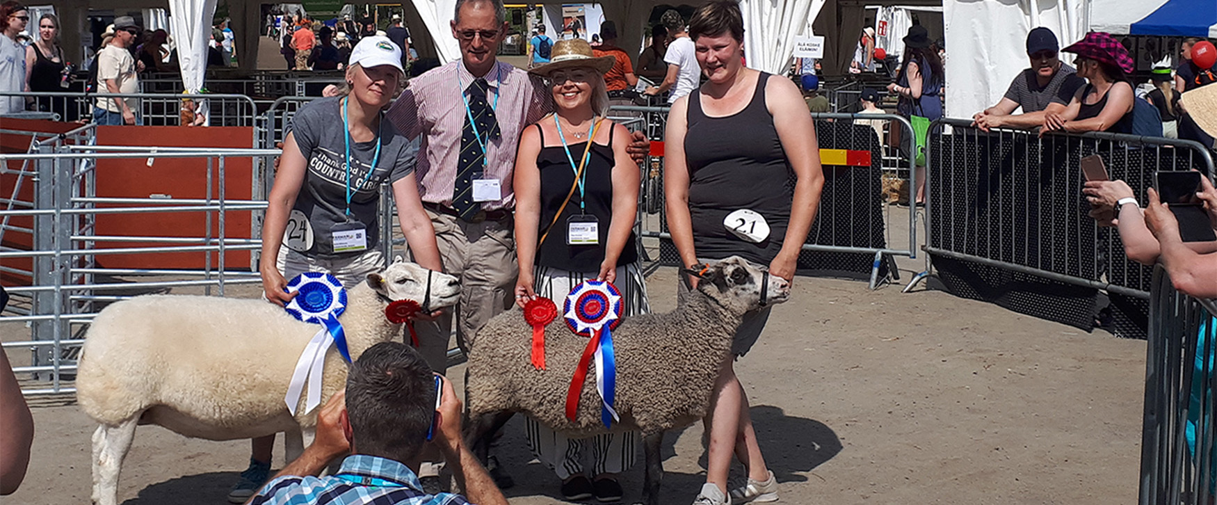 Farmari 2022 -lammasnäyttelyn voittajat